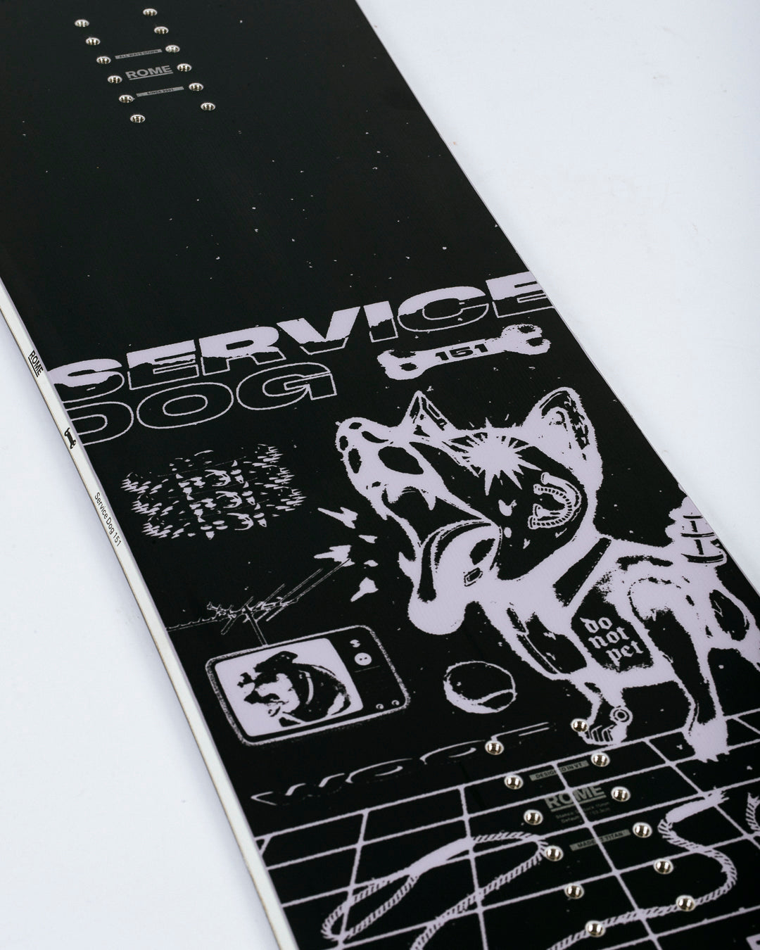 Service Dog Snowboard