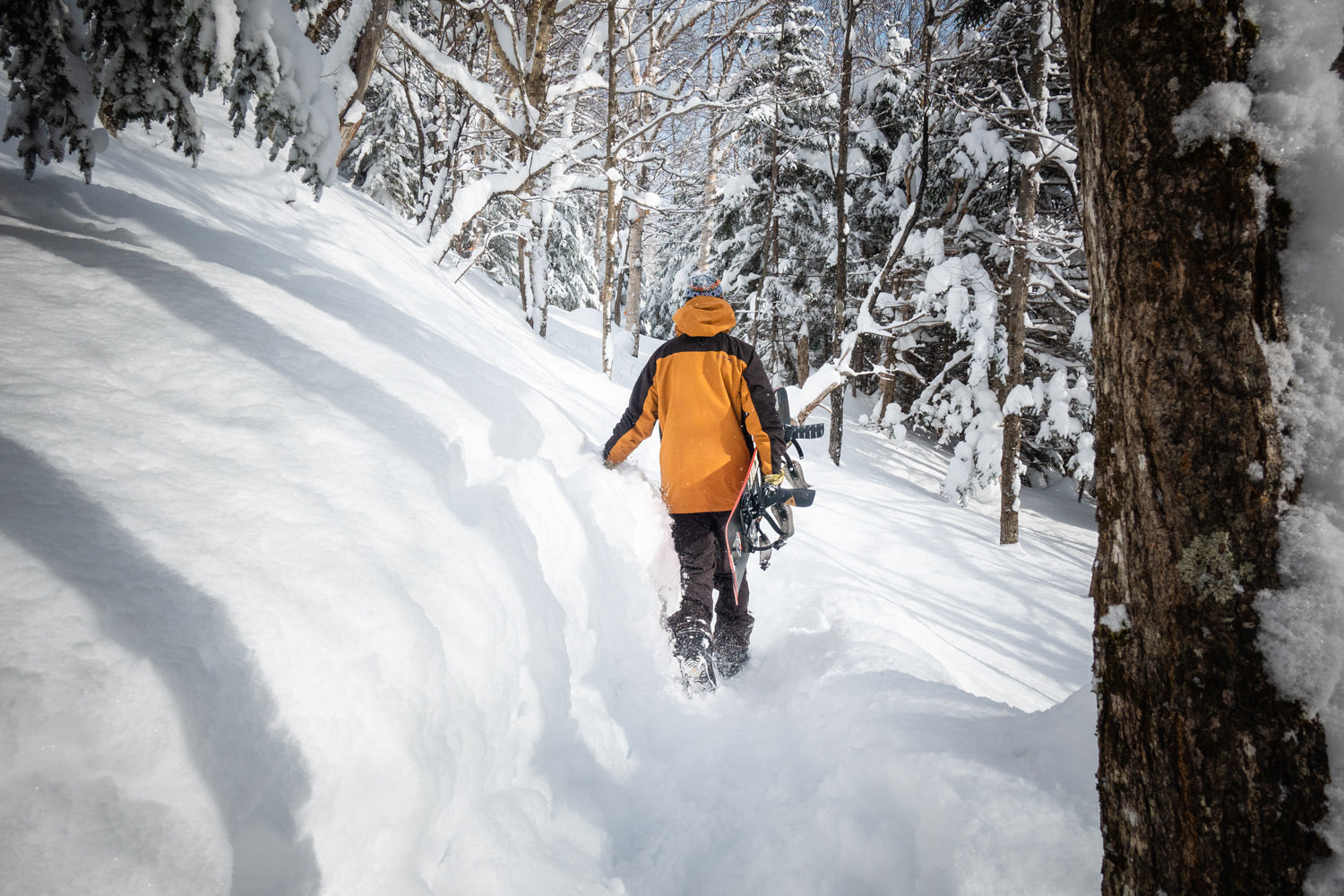 Forging Your Own Path - Ralph Kucharek's Vermont Backcountry Experience