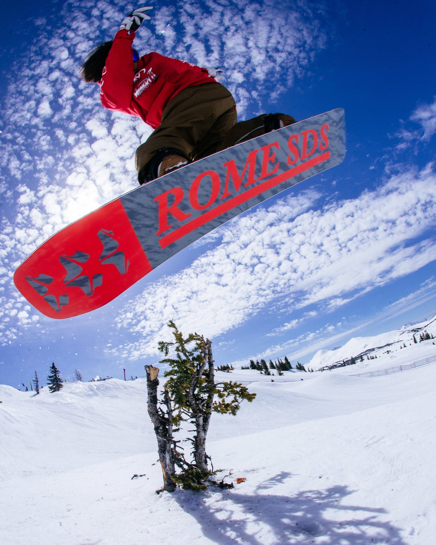 ravine snowboard 2023-2024 mens snowboard product image